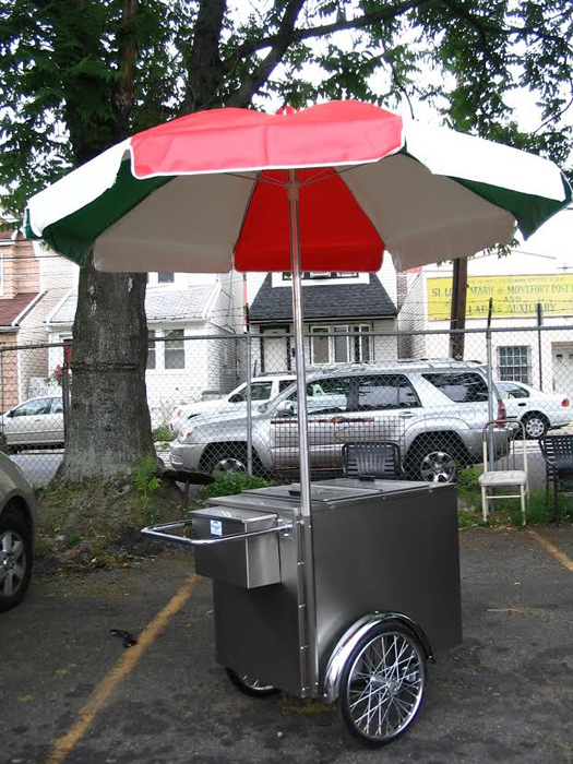 V-IP Ice Cream/Italian Ice Push Cart